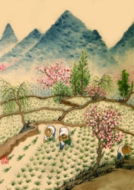 重生年代文的炮灰